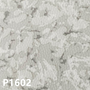 P1602