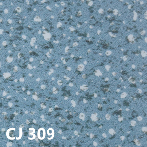 CJ309
